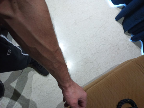 Was Sly's extreme diet really necessary?